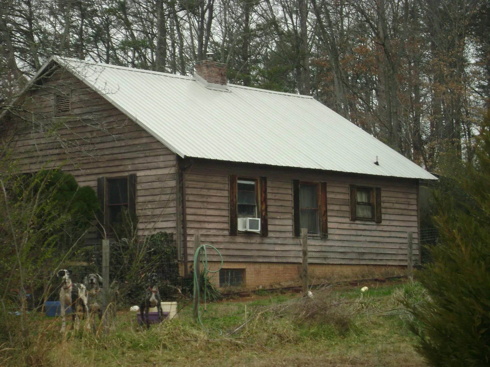 White metal roof on an old wood sided farmhouse, from a Asphalt Shingle Roof Repair job in Strawberry Point